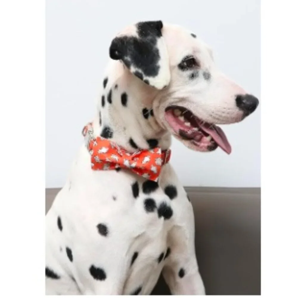 2 - Halloween/Fall Dogs Adjustable Comfortable Large Orange Ghost/Fall